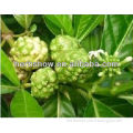 High Quality Noni Extract for Keeping Healthy